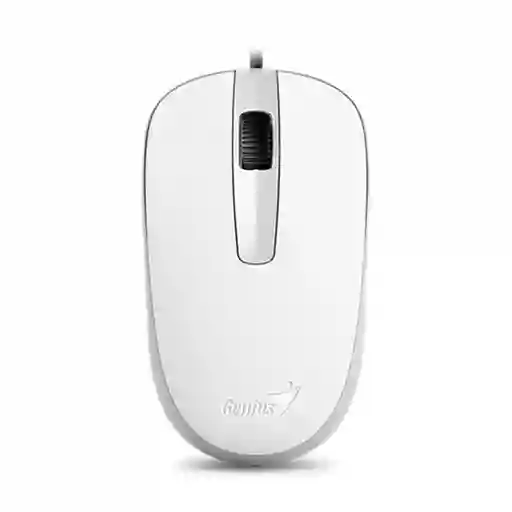 Genius Mouse DX-120 USB Blanco