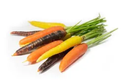 Zanahoria Mix Color Granel