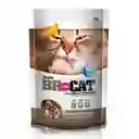 Br For Cat Snack para Gato Control Bola de Pelo 