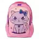 Scribe Morral Mascota 16.5