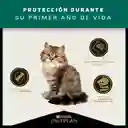 Comida para Gatitos Purina Pro Plan x 3 kg