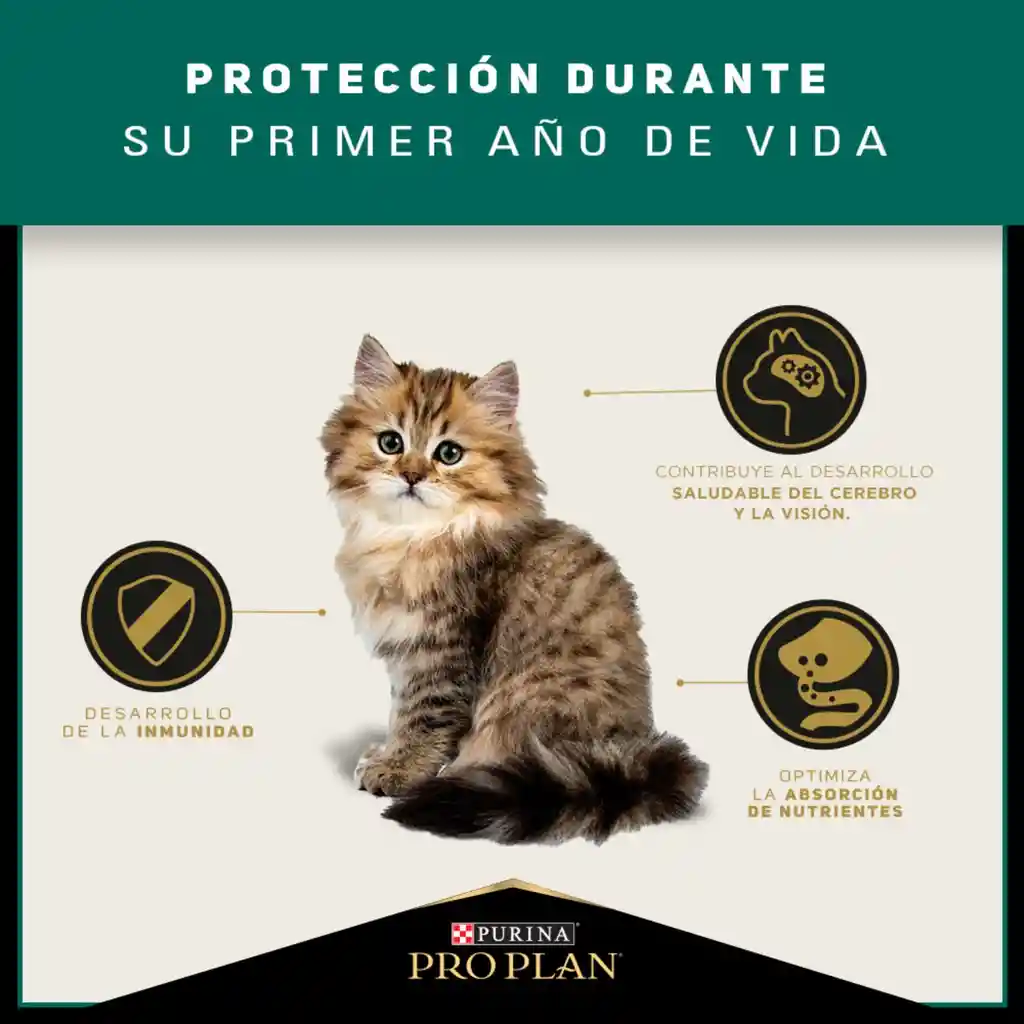 Comida para Gatitos Purina Pro Plan x 3 kg