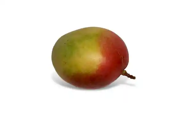 Mango Grueso