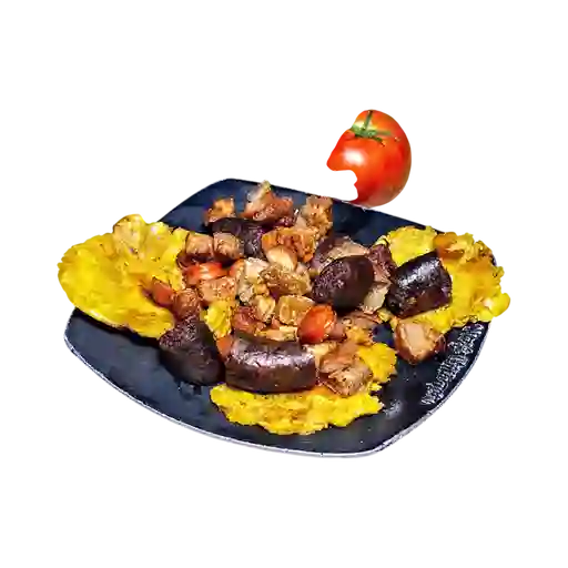 Mixta