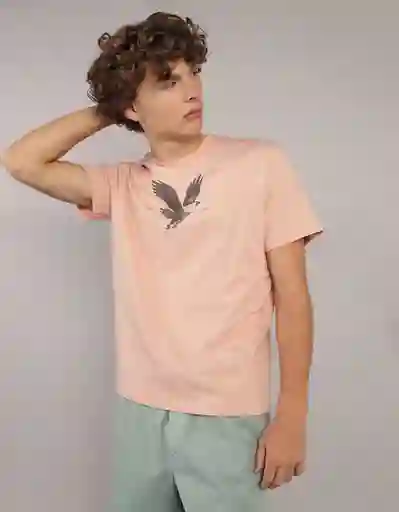 Camiseta Hombre Naranja Talla MEDIUM 4290619 American Eagle