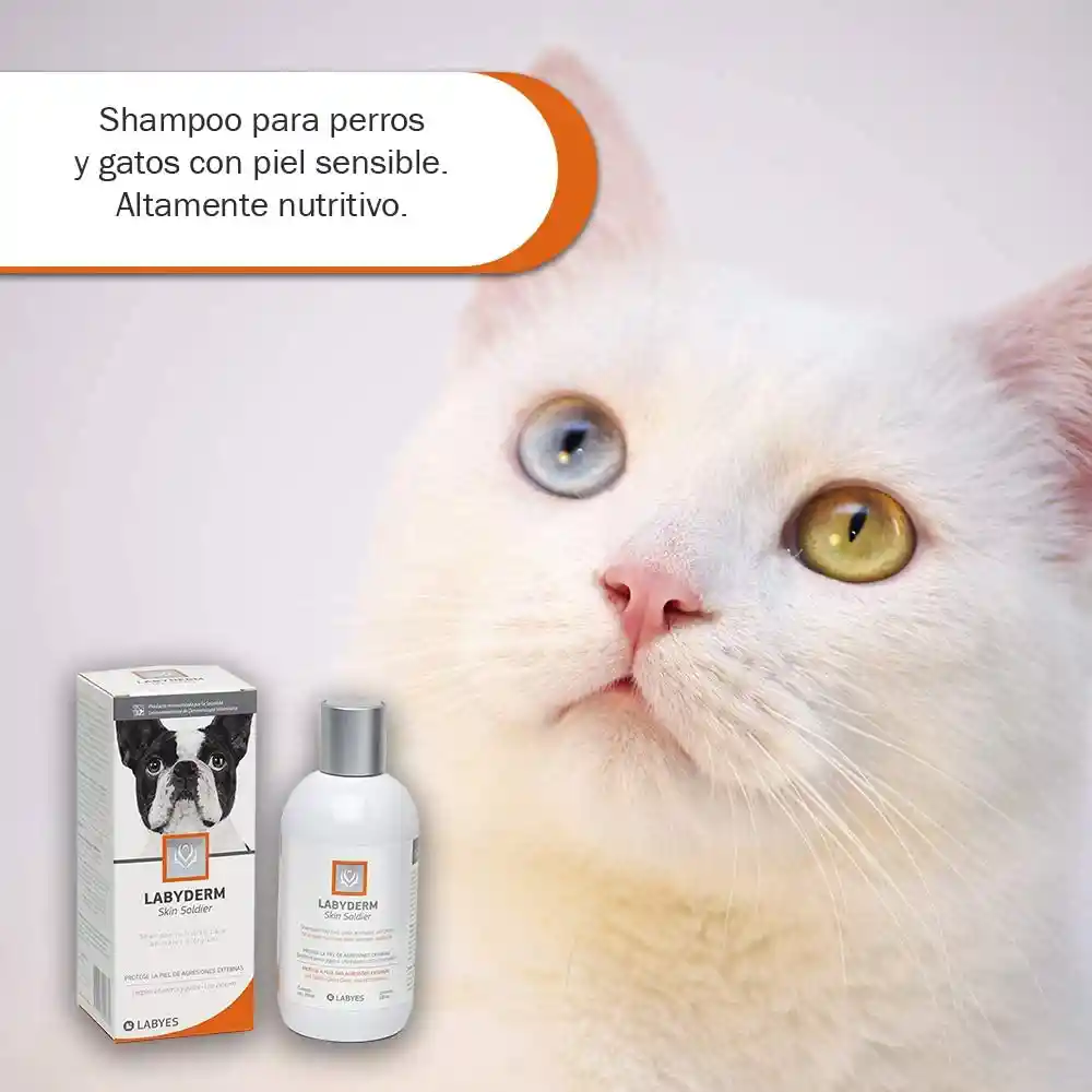 Labyderm Shampoo para Mascotas