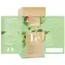 Funat Té Verde Con Yerbabuena Papaya Mango Cidrón Canela