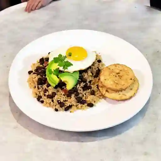 Calentado Al Estilo Azul Selva