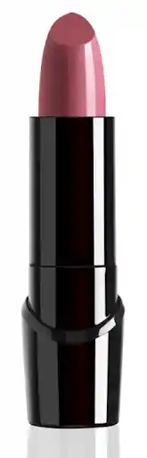 Silk F Lipstick 560B