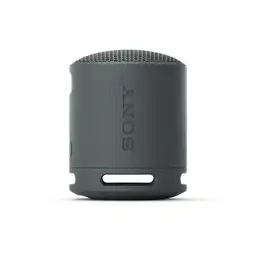Parlante Portatil Negro Sony Srs-xb100/b