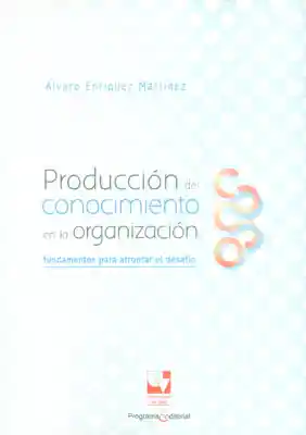 Producción Del Conocimiento en la Organización