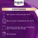 Tinte Palette Invensive Color Creme 6-78 Rubio Cobrizo Oscuro