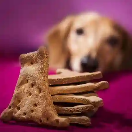 Galletas de hígado de pollo x 6 unidades