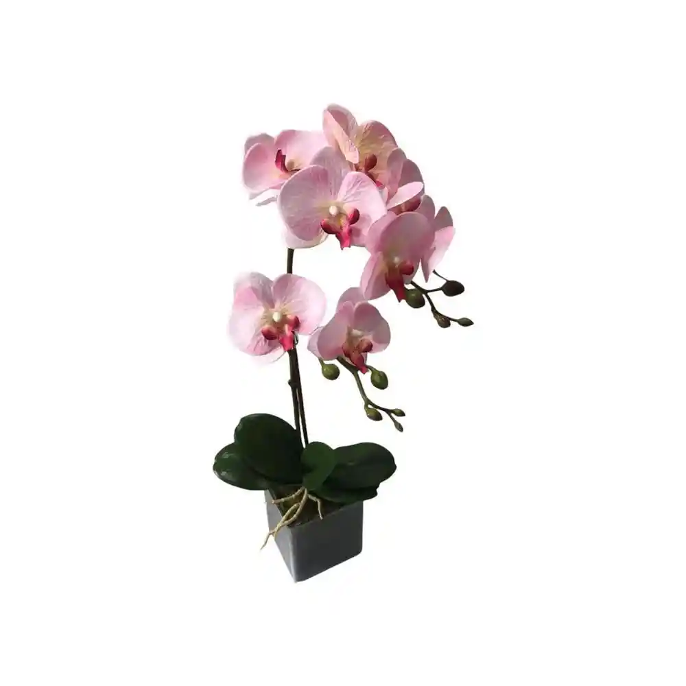 Orquidea Artificial Concepts 45655271