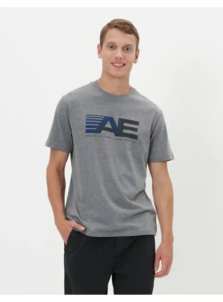 Camiseta Hombre Gris Talla X-LARGE 400389262004 American Eagle