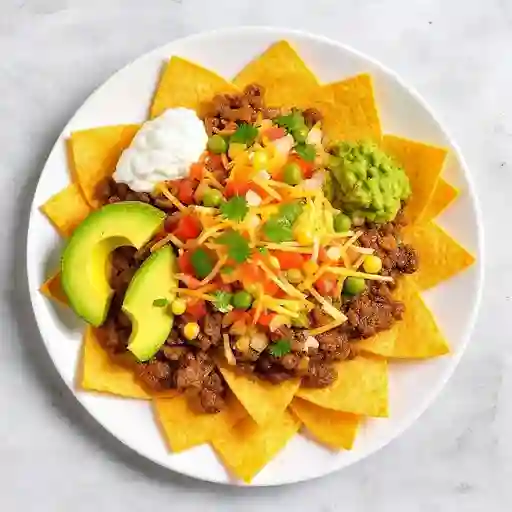 Nachos compartir birria