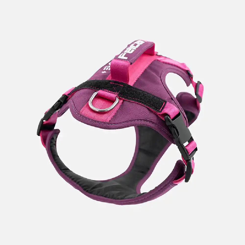 Arnés Para Perro Mountain Morado Felcan