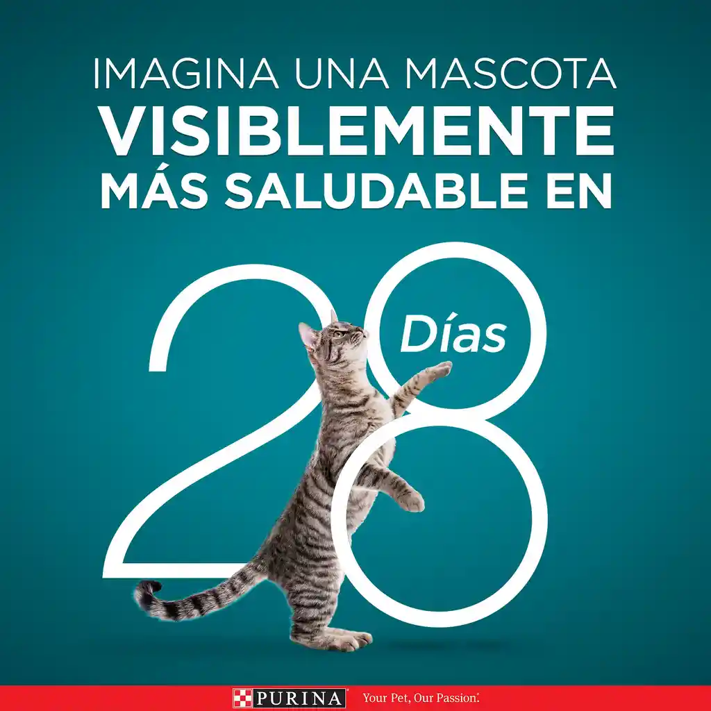 Comida húmeda para gatos Esterilizados Purina One sabor a Carne x 85gr