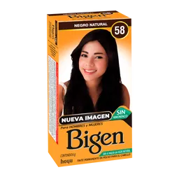 Bigen Tinte Color Negro Natural 58