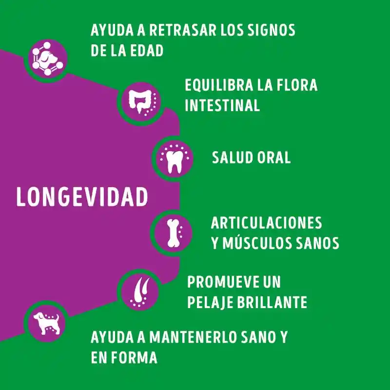 Comida para perro Dog Chow mayores a 7 años (Senior Longevidad) x 2 kg