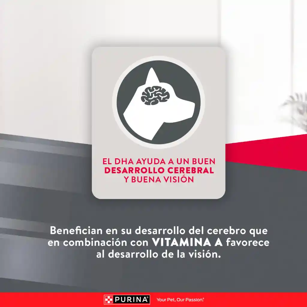 Comida para perros EXCELLENT PUPPY Razas Pequeñas x 3 kg