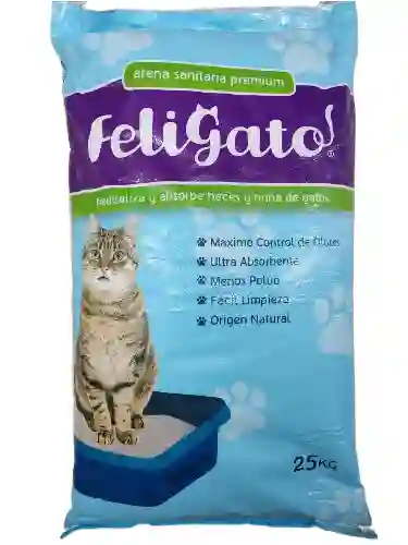 Feligato Arena Sanitaria 