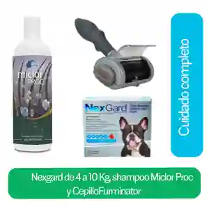 Combo Nexgard Perro 4 a 10 Kg + Shampoo + Cepillo Furminator