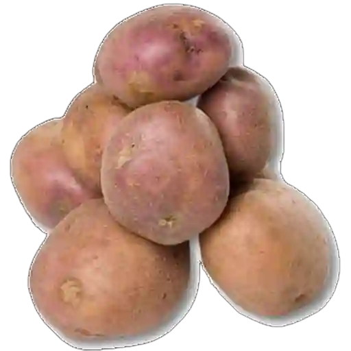 Papa Gruesa Selecta