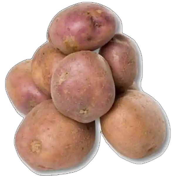 Papa Gruesa Selecta