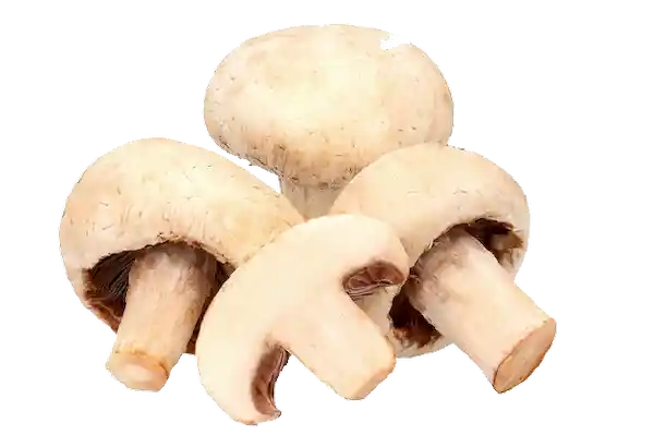 Champiñones Enteros