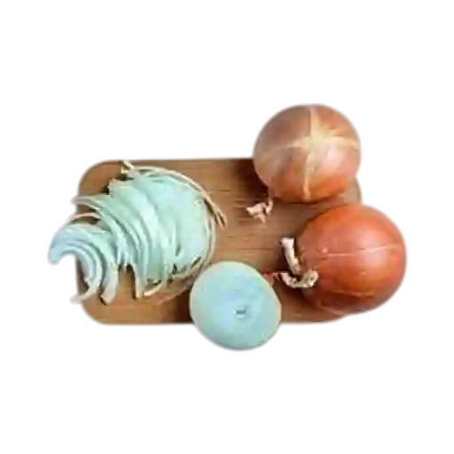 Cebolla