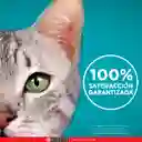 Comida húmeda para gatos Esterilizados Purina One sabor a Salmón x 85gr