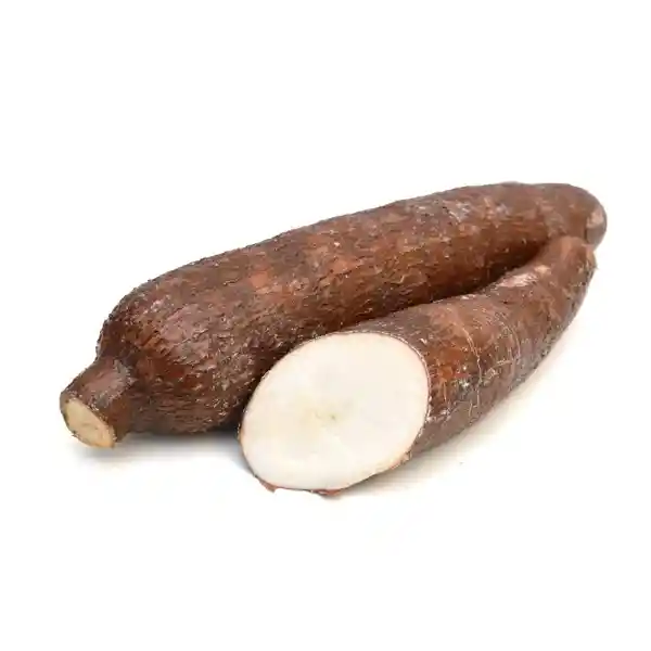 Yuca