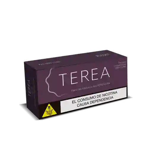 Terea Russet Carton X 10 Cajetillas X 20 Unds Cada Una