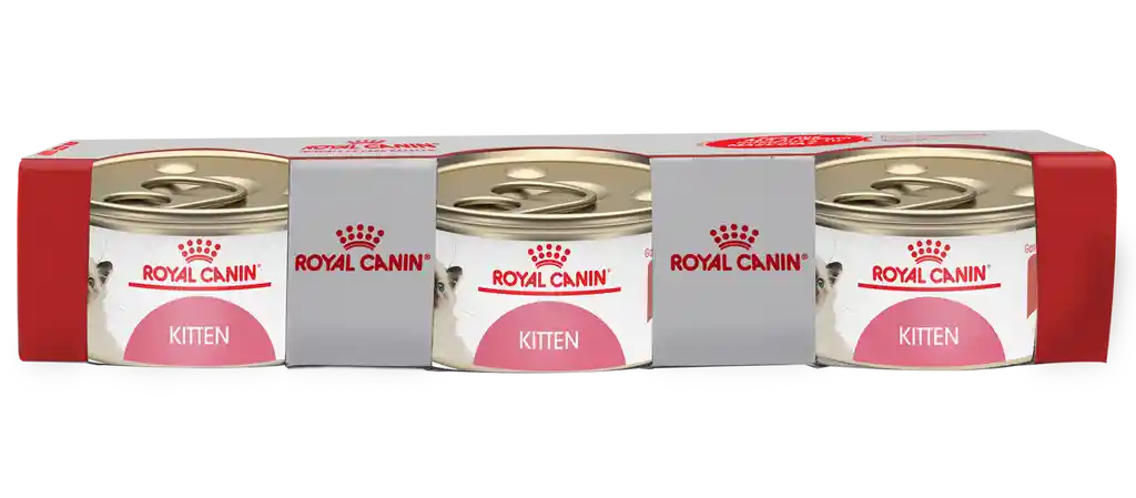 Royal Canin Alimento para Gato Tripack Kitten Loaf  in Sauce