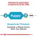 Royal Canin Breed Health Nutrition Shih-Tzu Puppy 1,5Kg