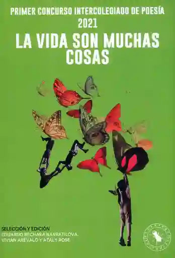 La Vida Son Muchas Cosas