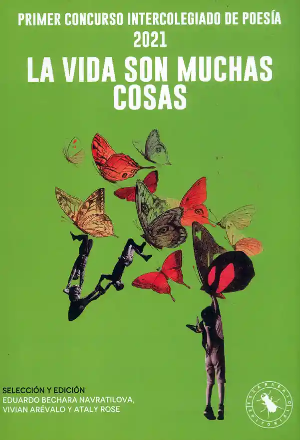 La Vida Son Muchas Cosas