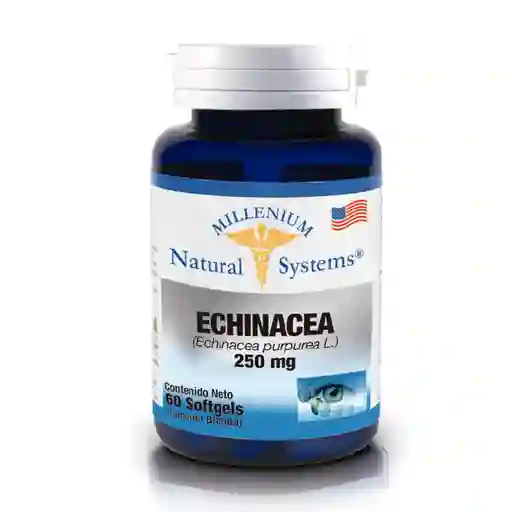 Natural Systems Echinacea (250 mg)
