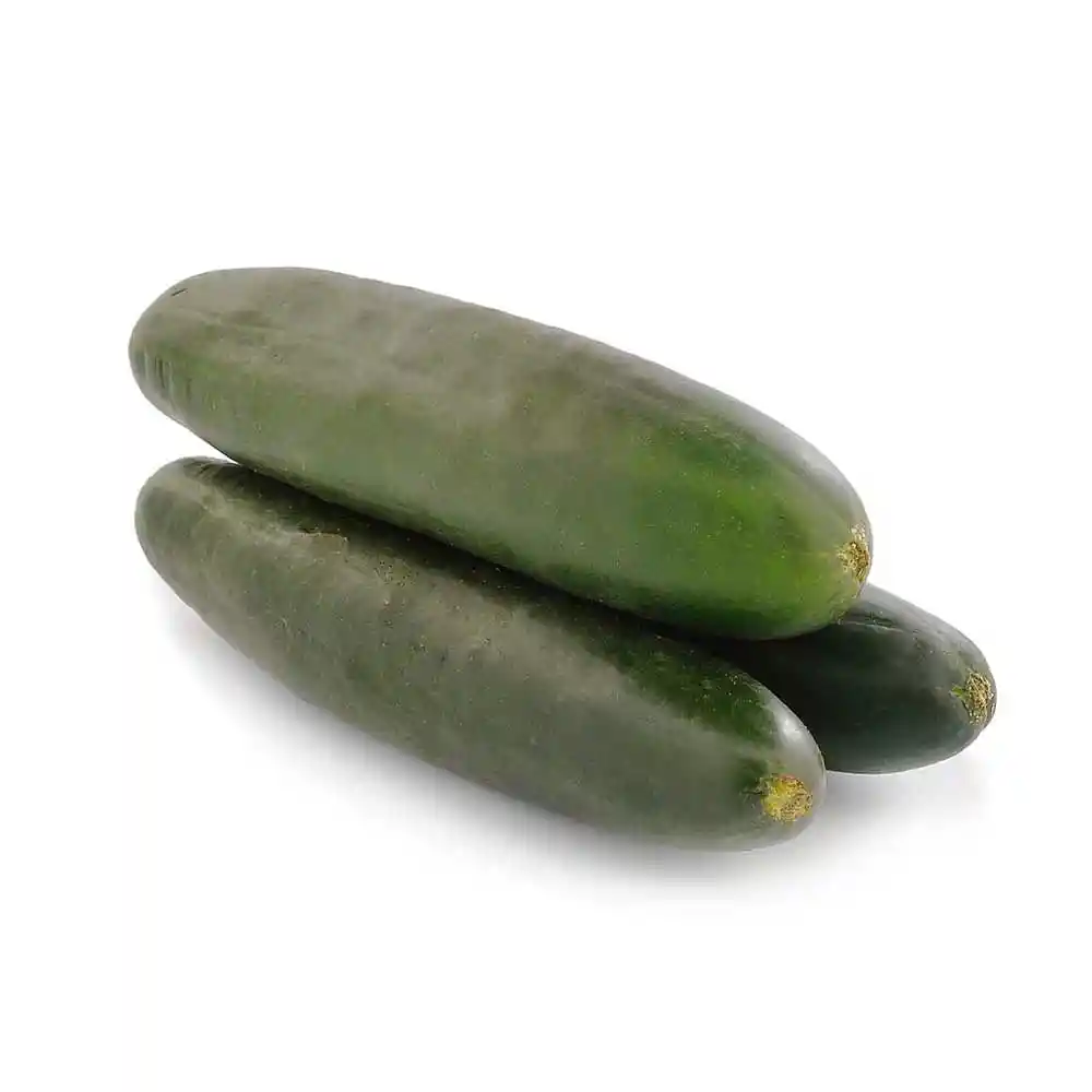 Pepino Cohombro