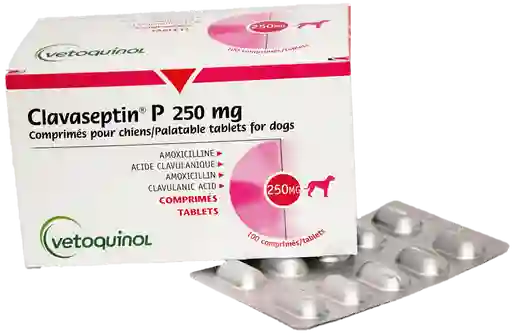 Tabletas Masticable Para Perro Invet Clavaseptin