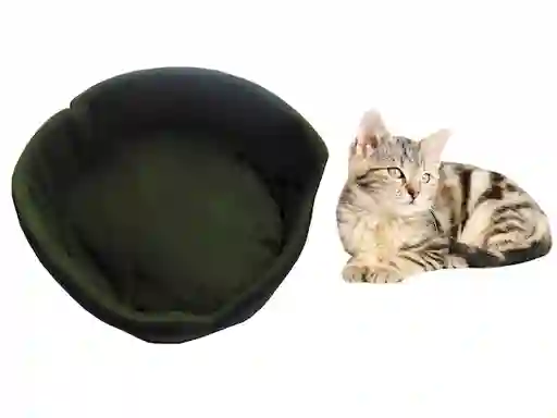 Cama Para Gato Grande Verde