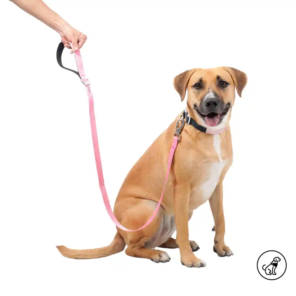 Correa Para Perro Sencilla Odye L Rosada