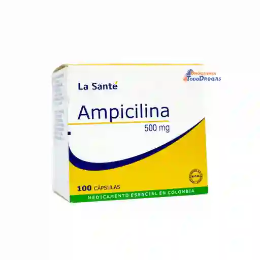 Ampicilina Ls 500 Mg