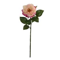 Rosa Gio Home Blanco Rosado Melocoton