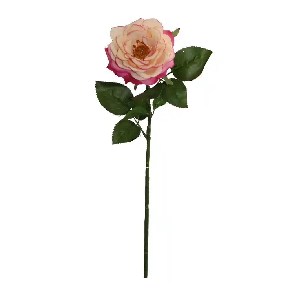 Rosa Gio Home Blanco Rosado Melocoton