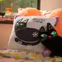 Cojín Con Mensaje