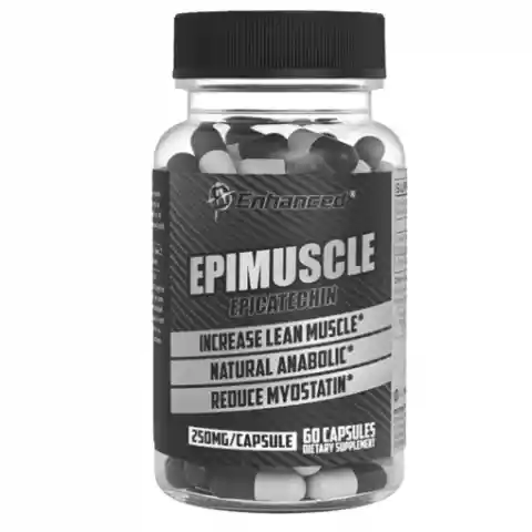 Epimuscle