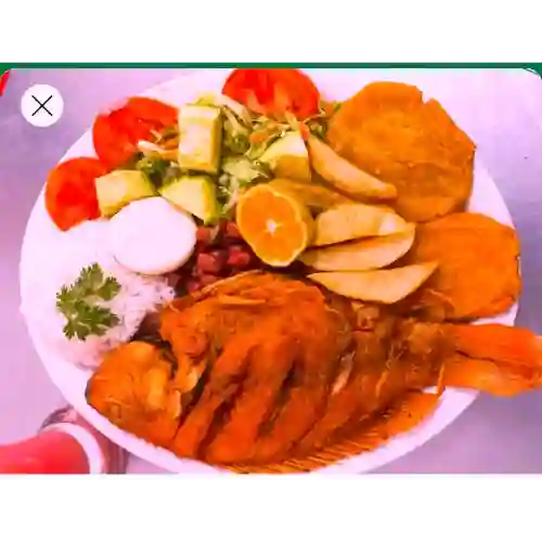 Bandeja con Tilapia Mediana