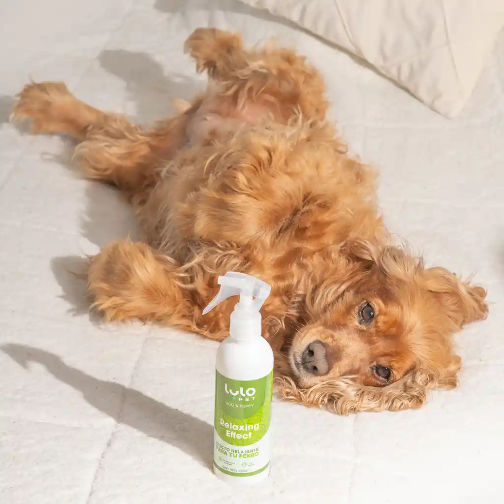 LuloPet Relaxing Effect Dog y Puppy para Perro - 250 ml